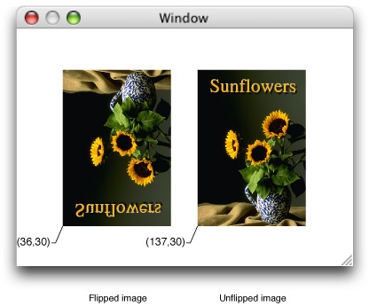 Image orientation in an unflipped view