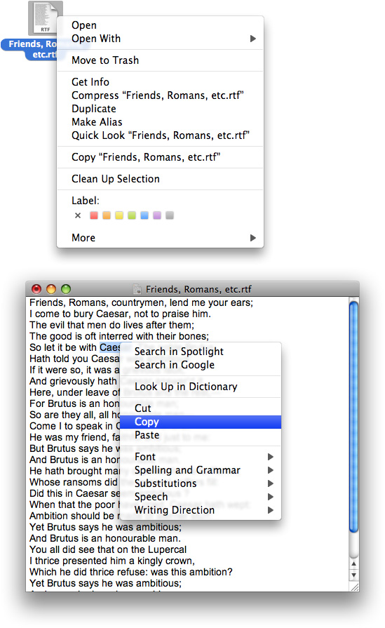 A contextual menu for an icon in the Finder and for a text selection in a document