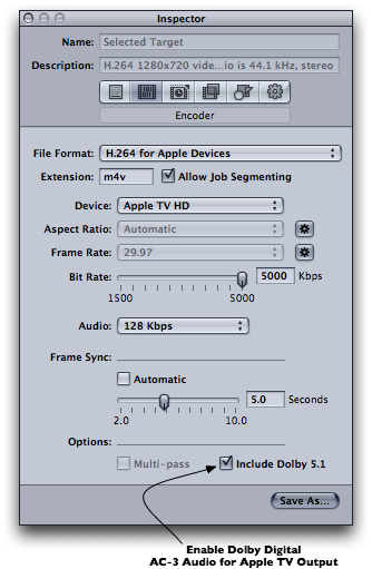 Figure 4, Include Dolby 5.1 Checkbox.