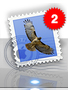 The red badge in the Mail’s Dock tile indicates the number of waiting messages