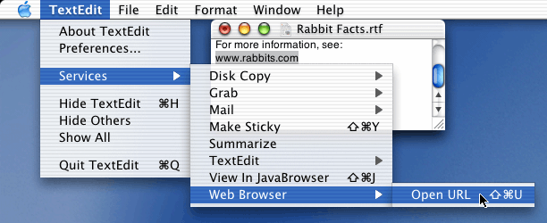 Open URL is a processor service