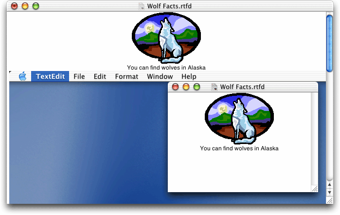 The Wolf Facts document after a screen shot has been inserted