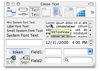 Drag an NSTextView from the Cocoa Text Controls palette