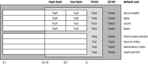 Register Names in the 32-bit i386 architecture