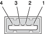 USB Type A port and pins