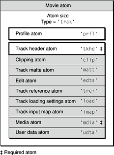 The layout of a track atom